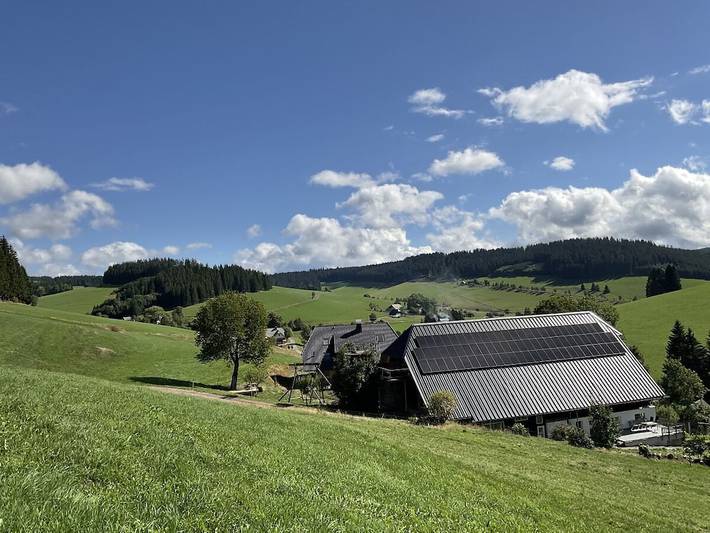 Danielenhof1701-Ferienwohnung Bruckbach in Breitnau, Südschwarzwald