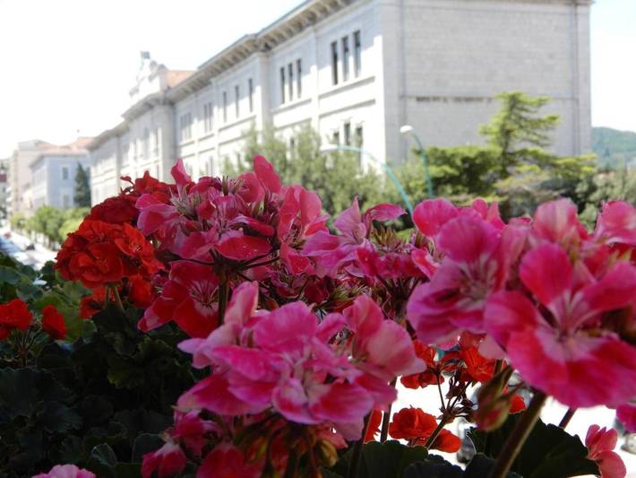 B&b per 3 persone, con Balcone a Campobasso