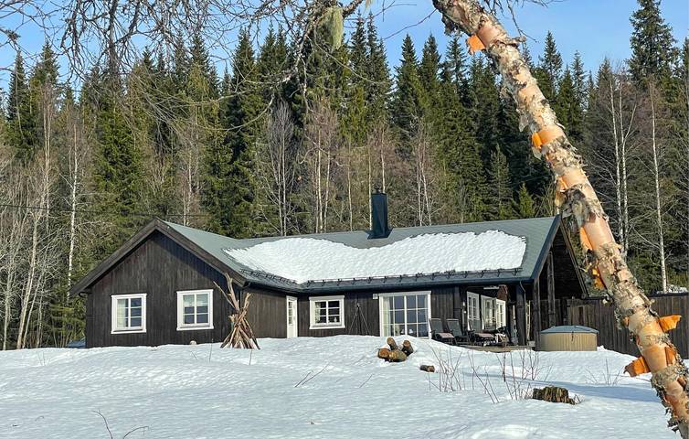 Vakantiehuis voor 8 personen, with tuin and sauna as well as terras, met huisdier in Trysil
