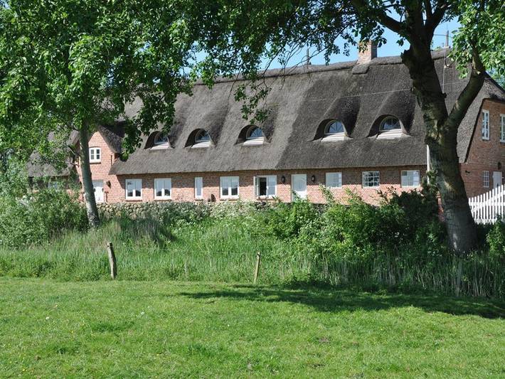 Osterdeich Molehill in Poppenbüll, Eiderstedt