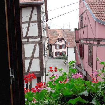 Gîte pour 2 personnes, animaux acceptés à Bouxwiller