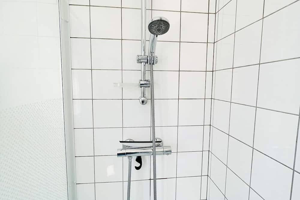 Entire apartment, Victor Hugo : Apartment 300 meters from the thermal baths in La Vôge-les-Bains, Épinal region