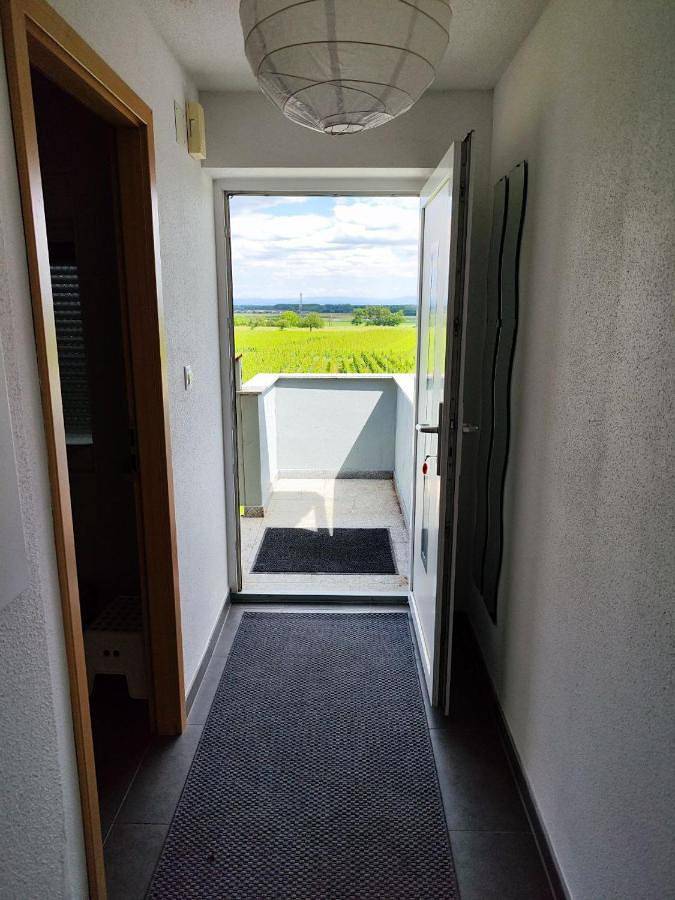 Gîte pour 6 personnes, avec balcon dans La Montagne des Singes - 3