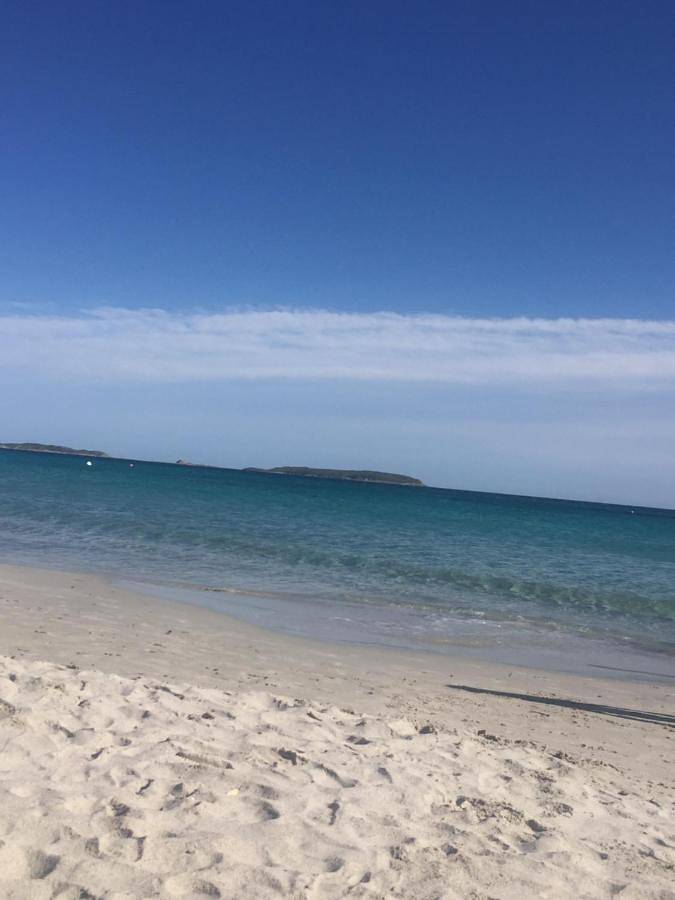 Villa pour 18 personnes, avec terrasse et piscine ainsi que jardin et vue dans Palombaggia - 2