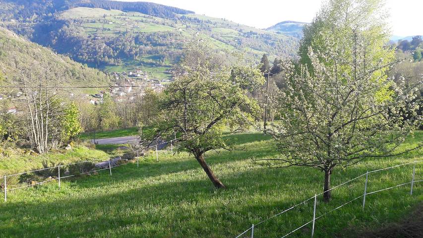 Chambre d’hôte pour 2 personnes, avec jardin dans les Vosges - 2