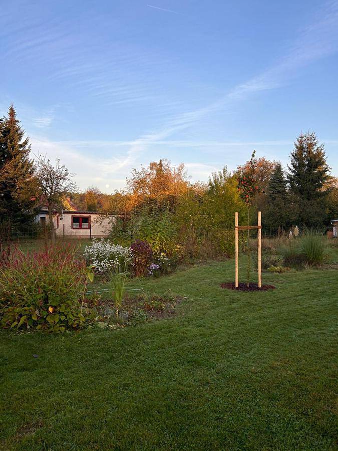 Ferienhaus für 3 Personen, mit Terrasse und Garten in Müncheberg - 4