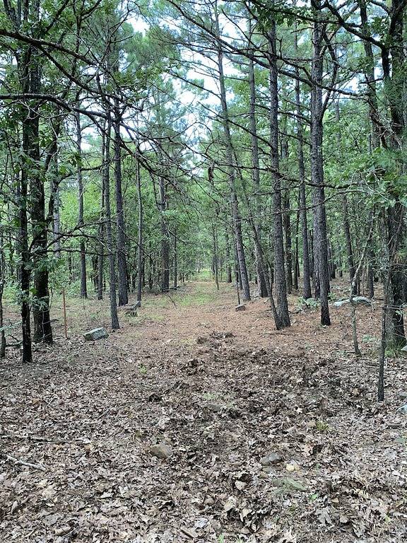 Cabin on Blackberry Hill near Mcgee Creek in Atoka County