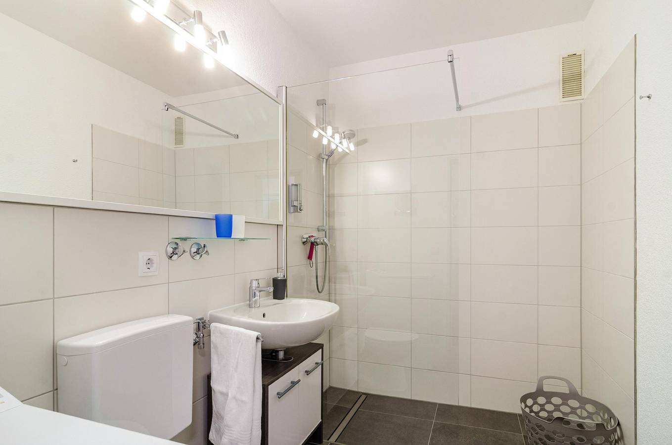 Ganze Wohnung, Apartment 'Alex' mit Seeblick, Balkon und Wlan in Meersburg, Region Bodensee-Oberschwaben