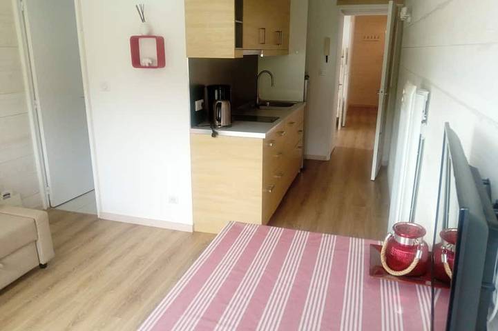 Ganze Wohnung, T2Bis apartment at the foot of the slopes /residence euroneige in Gourette, Eaux-Bonnes