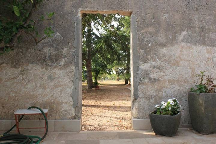 Maison d’hôte pour 3 personnes, avec Terrasse ainsi que Jardin et Vue à San Vito dei Normanni - 3
