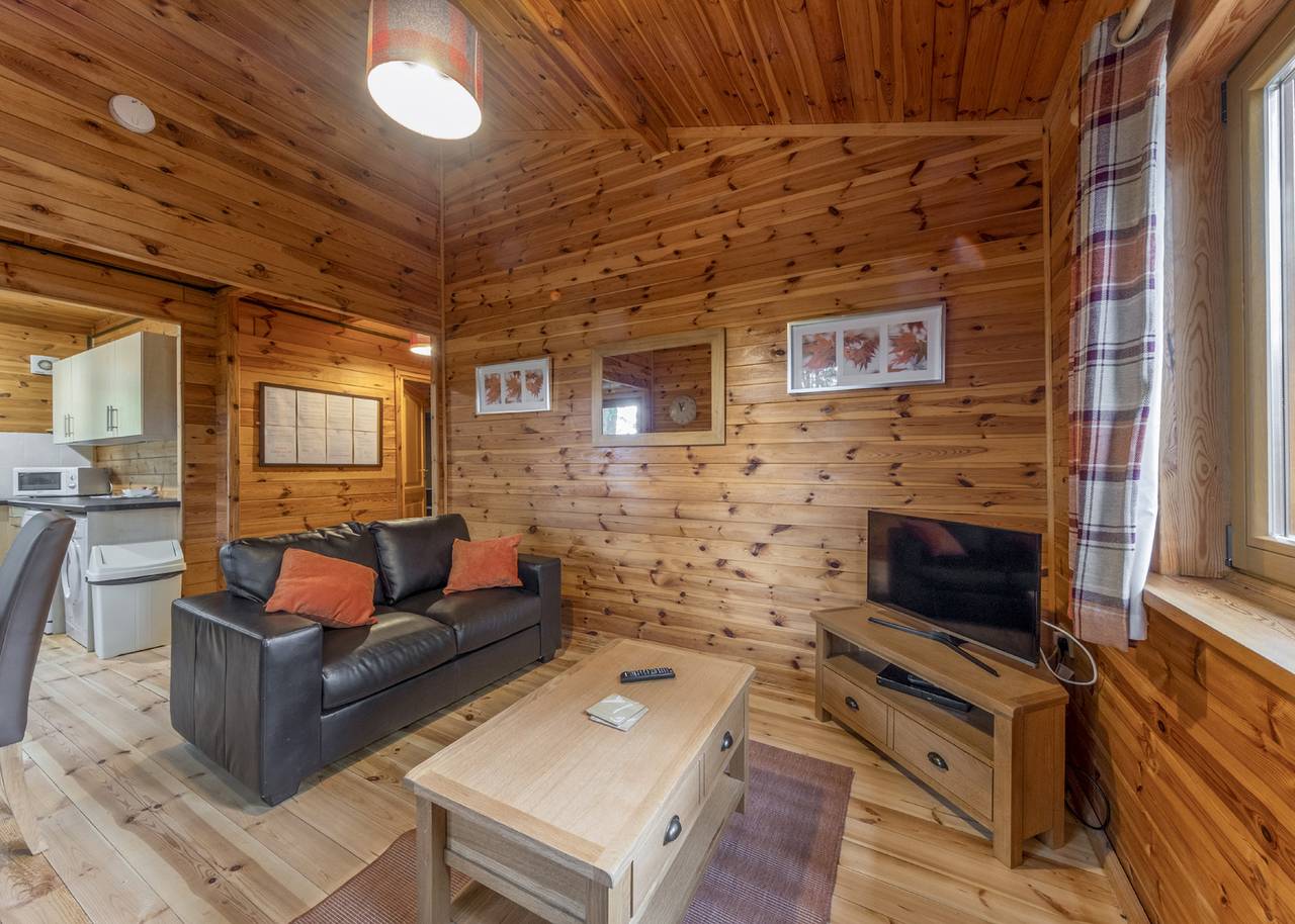 Woodland Willow Lodge in Shropshire