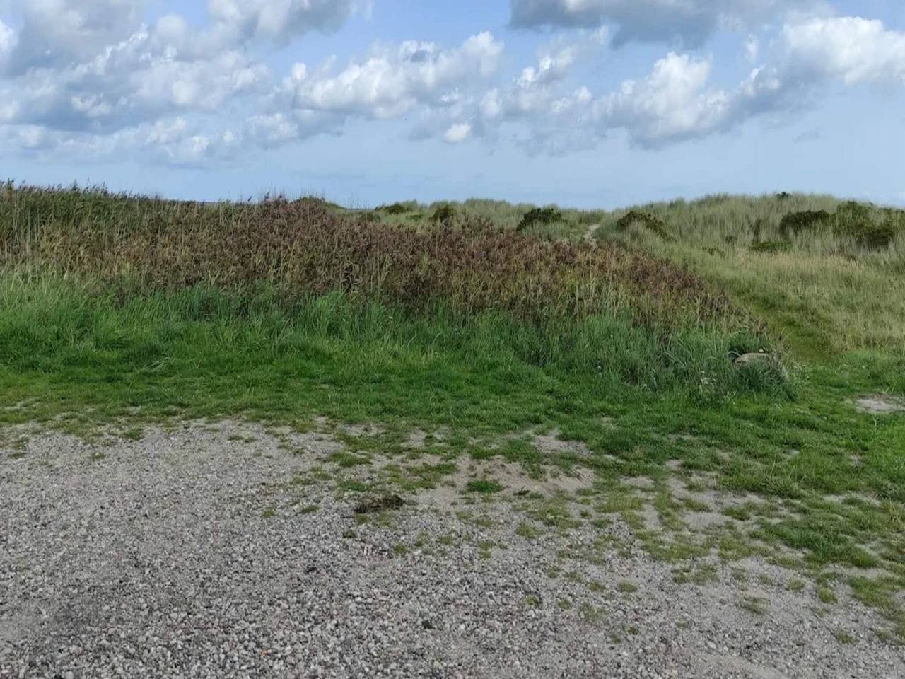 Meeresruhe in Lyngsa in Sæby, Nordostjütland