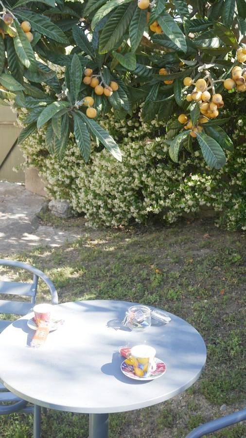 Gîte pour 3 personnes, avec jardin et vue à La Roquette-sur-Siagne - 3