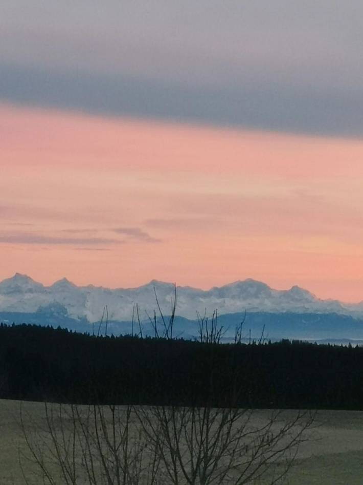 Maison d’hôte pour 2 personnes, avec jardin et terrasse à Schluchsee - 4