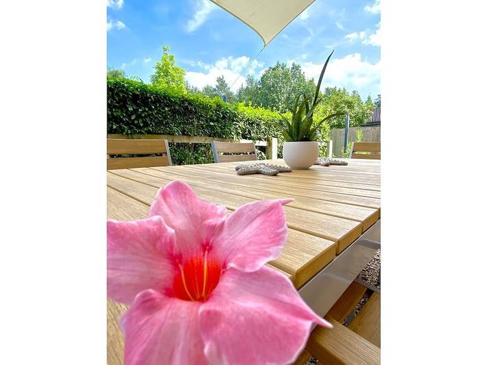 Ferienhaus für 7 Personen, mit Terrasse und Garten in Mardorf