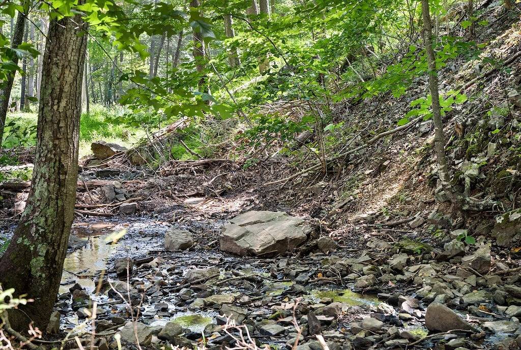 Woodland cabin w/hot tub & fire pit in Seneca Rocks