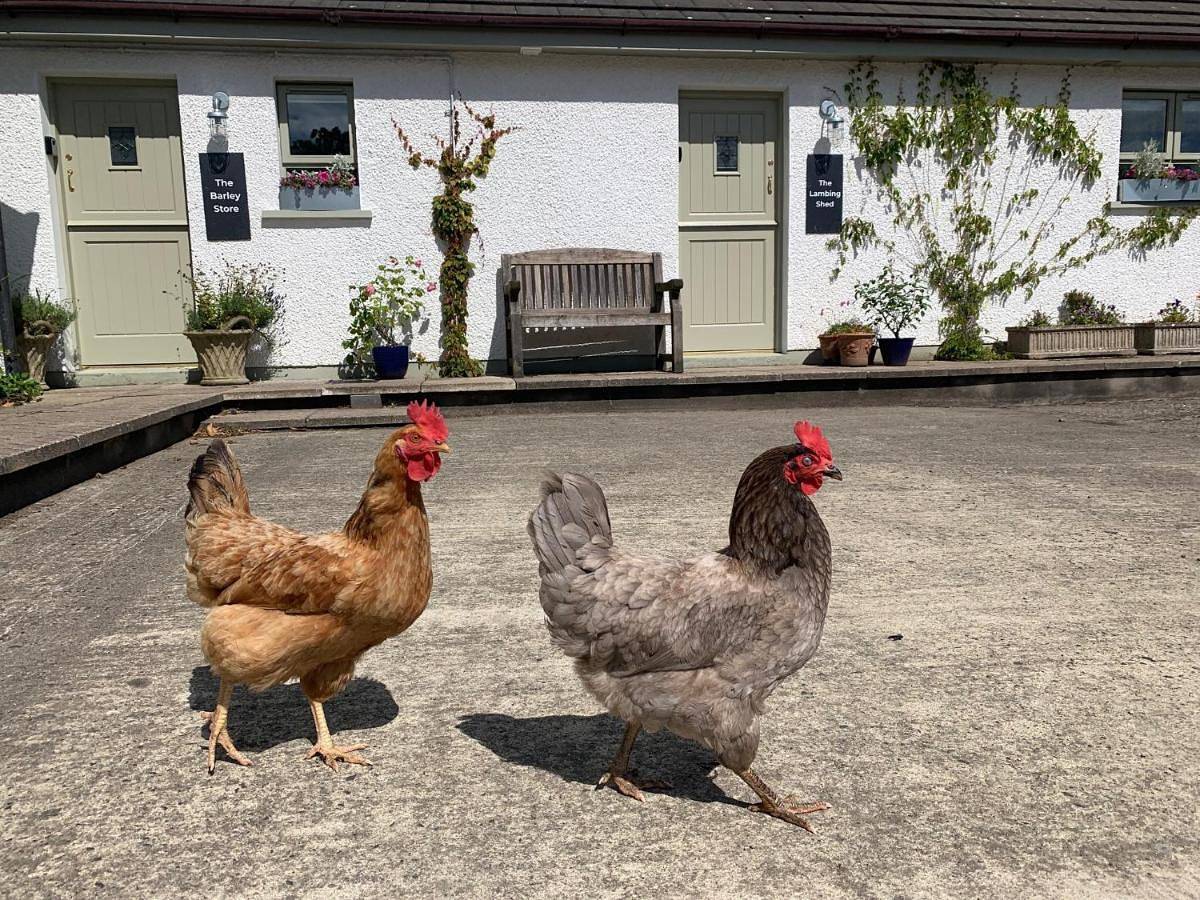 Entire apartment, The Barley Store at Walkmill Farm in Bushmills, County Antrim