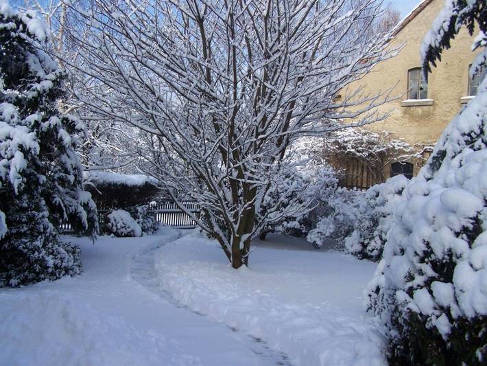 Ferienwohnung für 4 Personen, mit Garten und Ausblick in Wilthen - 3