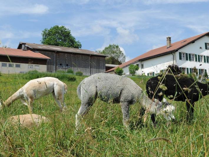 Gîte pour 2 personnes, avec balcon, animaux acceptés dans Canton du Jura - 3