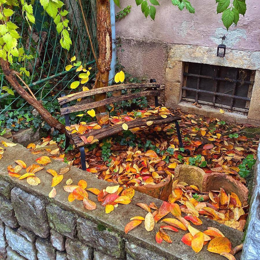 Guesthouse Kuća na šterne in Lovran, Opatija Riviera