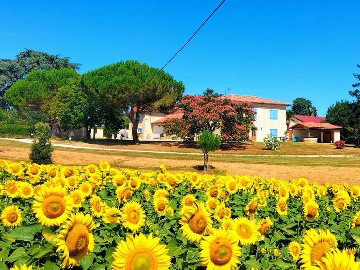 Location de vacances pour 8 personnes, avec vue ainsi que jardin et piscine à Condom - 2