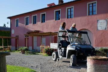Agriturismo per 12 Persone in Peccioli, Pisa e dintorni, Foto 4