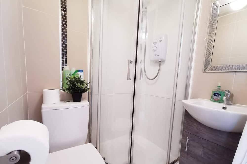 Entire apartment, Lovely Renovated Large Spacious Georgian Studio in Dublin, County Dublin