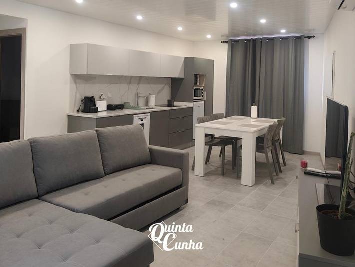 Apartamento de férias para 12 pessoas, com vista e jardim e ainda piscina, com animais de estimação em São Pedro do Sul