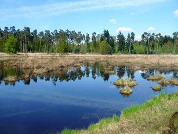 Maison De Vacances pour 4 Personnes dans Poppel, Ravels, Photo 4