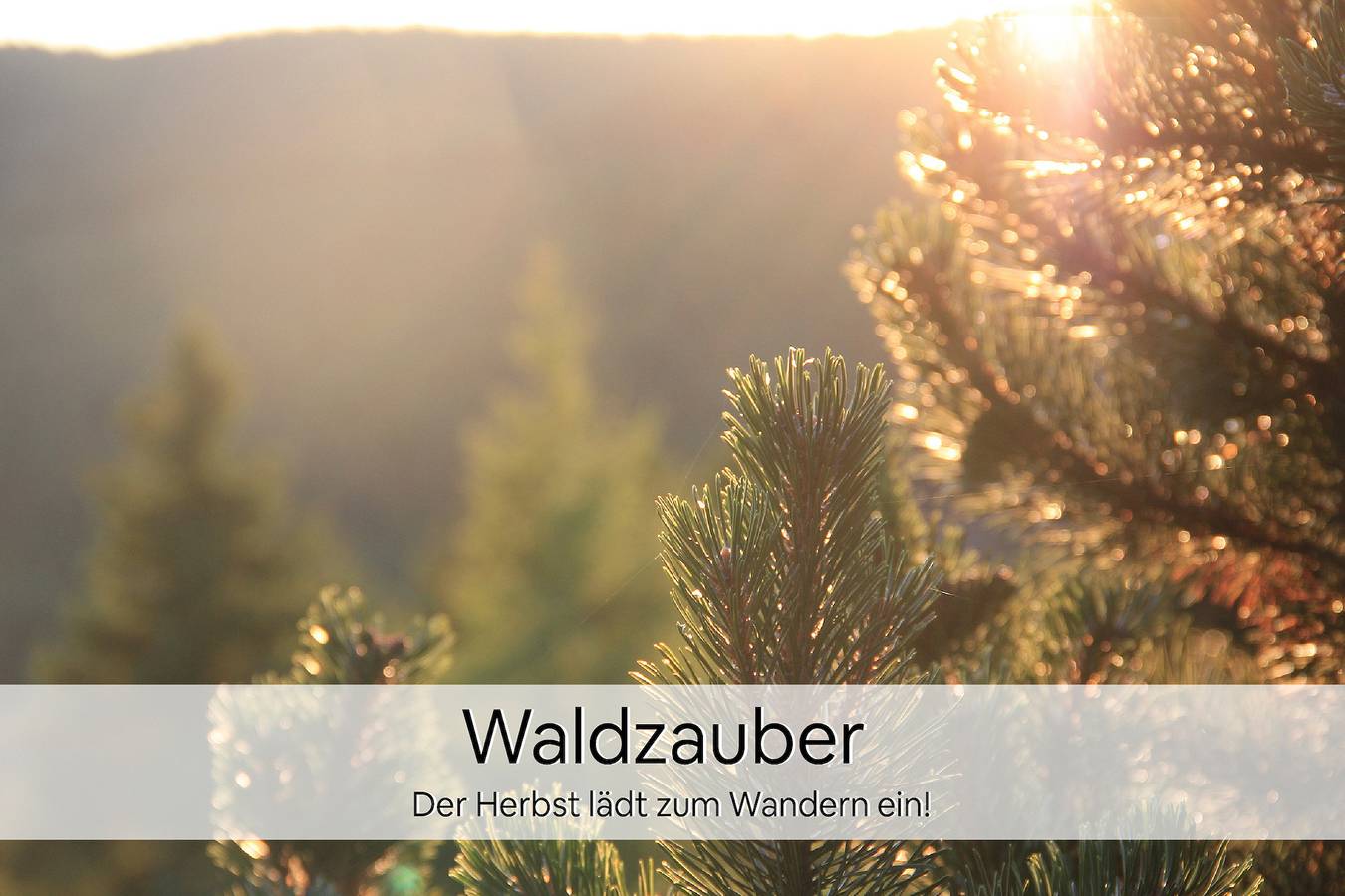 Ganze Ferienwohnung, Ferienwohnung Relax in Oberhof, Rennsteig