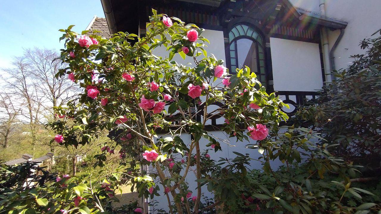 Ganze Ferienwohnung, Ferienwohnung für 3 Personen (64 m²) in Saarbrücken in Saarbrücken, Saarbrücken & Umgebung