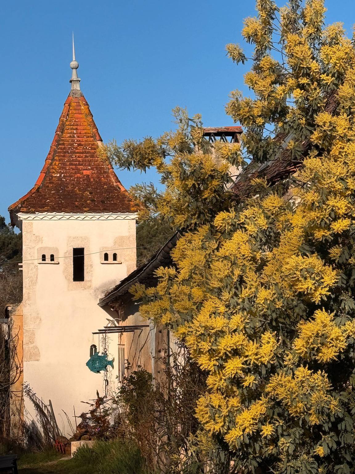 Domaine de La Contie – Chartreuse du Xviie au cœur de 20 ha de nature in Issac, Périgord Pourpre