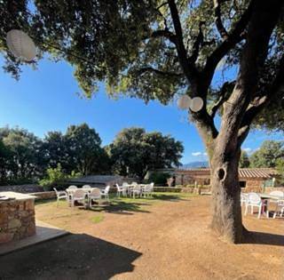 Location de vacances pour 6 personnes, avec jardin et piscine, animaux acceptés à Cuttoli-Corticchiato - 3