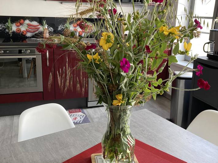 Gîte für 2 Personen, mit Haustier in Burgund - 2