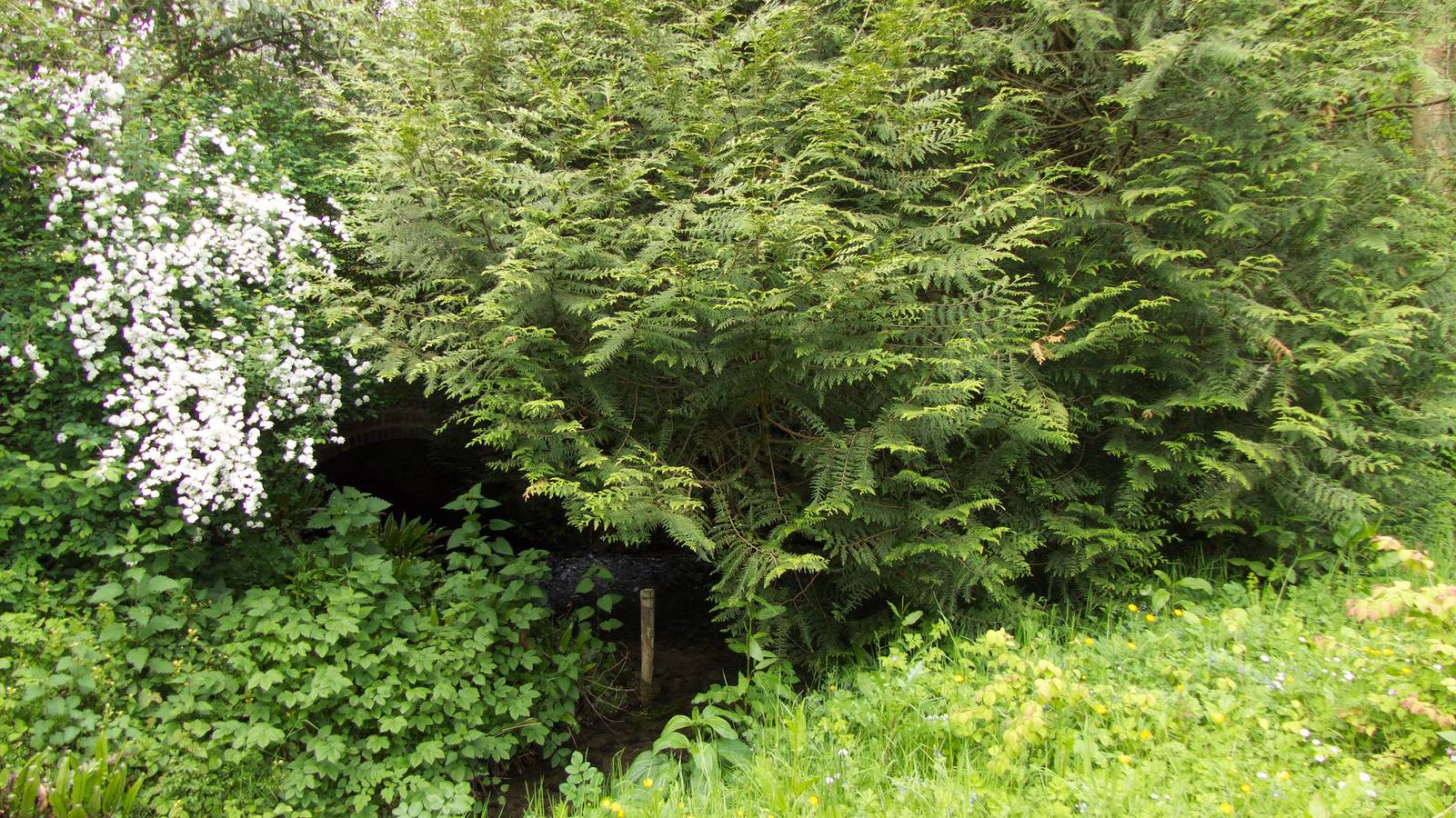 Moulin des Gruaux in Quetteville, Région de Lisieux