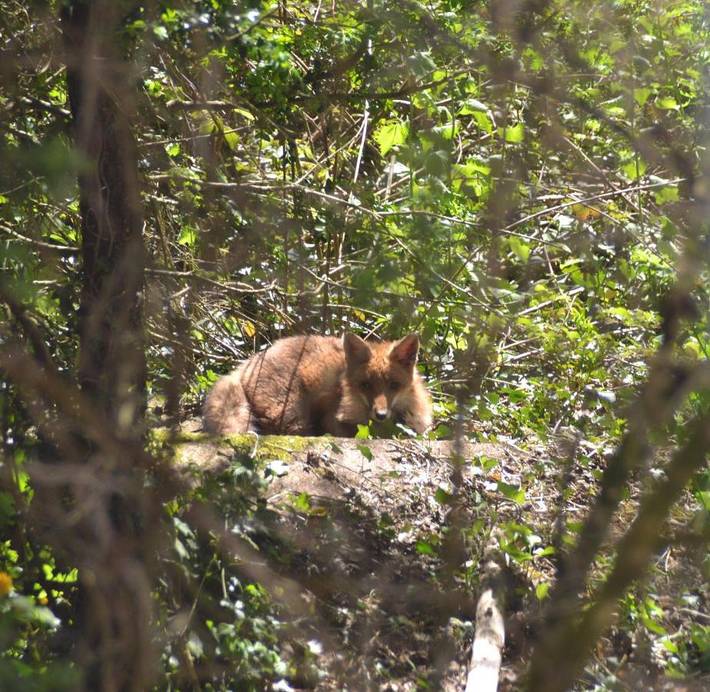Chambre d’hôte pour 2 personnes, avec terrasse et jardin à Saint-Cyprien-sur-Dourdou - 3