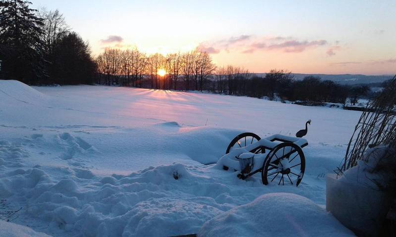 Location de vacances pour 3 personnes dans Grand Halleux