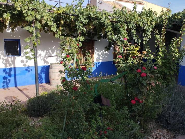 Casa de vacaciones para 8 personas, con vistas y jardín en Provincia de Ciudad Real - 3