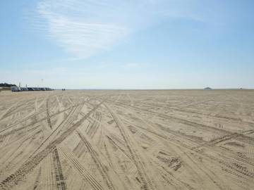 Ferieudlejning til 6 Personer i Kongsmark, Rømø, Billede 2