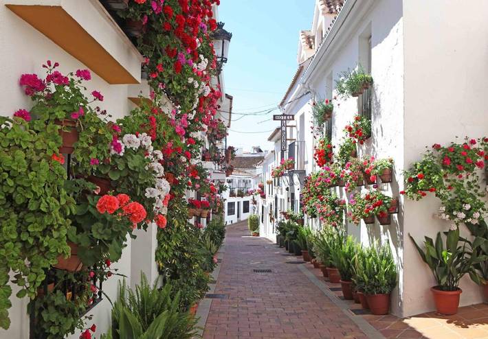 Chambre d’hôte pour 2 personnes, avec Vue à Benalmádena