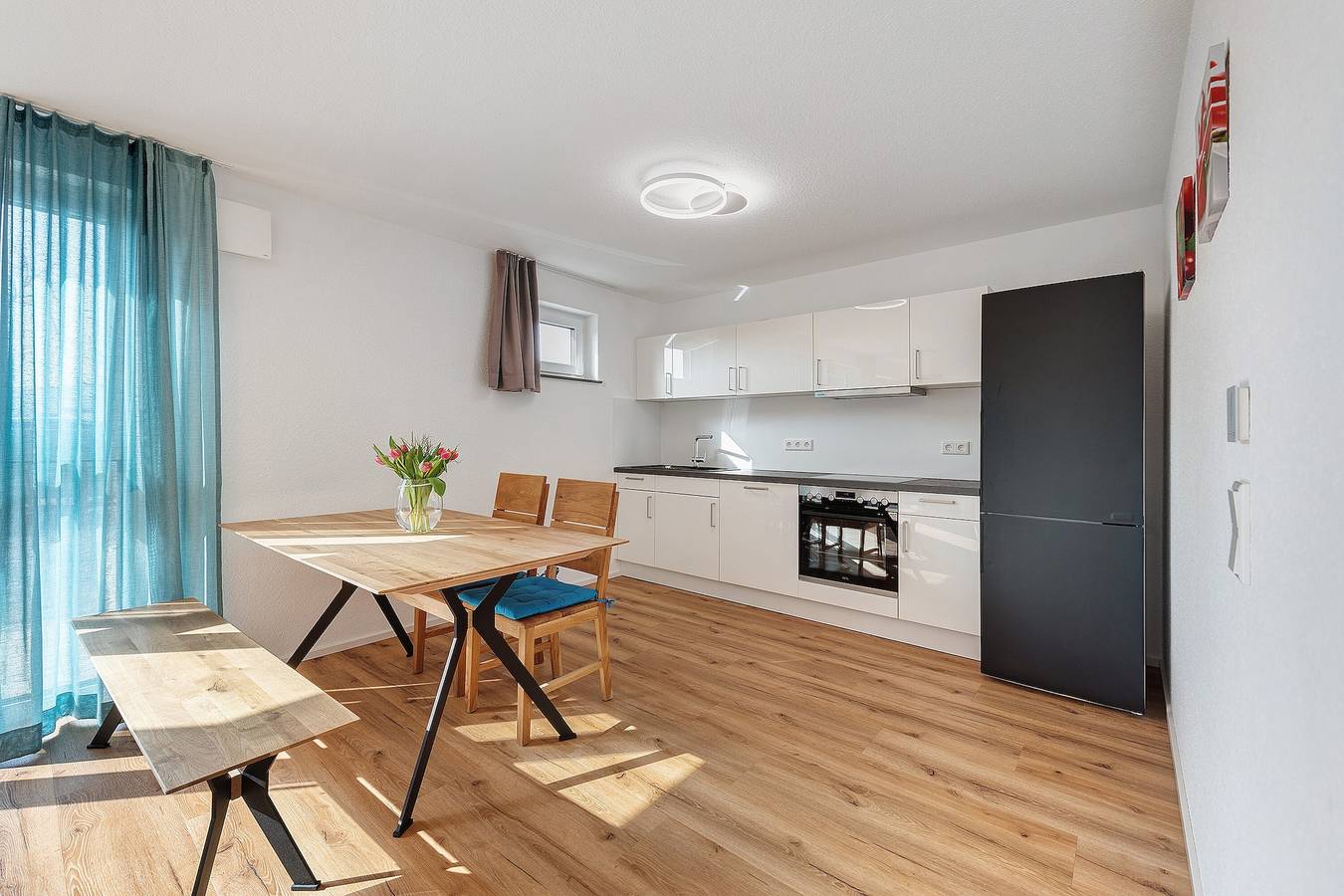 Ganze Wohnung, Apartment 'Seezeit' mit privater Terrasse, privatem Garten und Wlan in Bodman-Ludwigshafen, Landkreis Konstanz