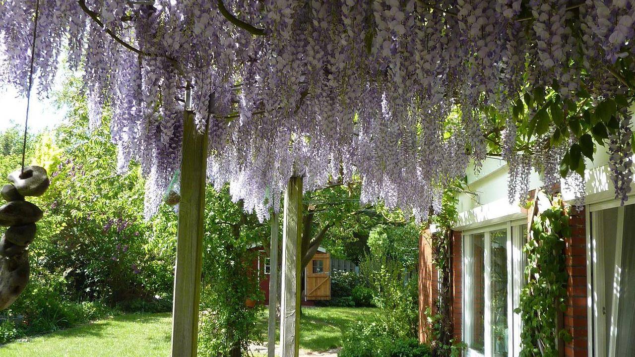 Hauptbild