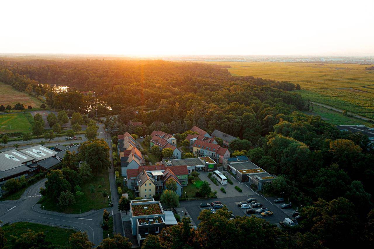 Résidence Les Rives de la Fecht - Colmar Ouest in Ingersheim, Région de Ribeauvillé