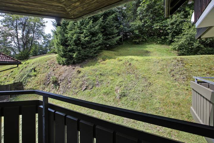 Ferienwohnung für 3 Personen, mit Balkon und Sauna in Todtmoos - 4
