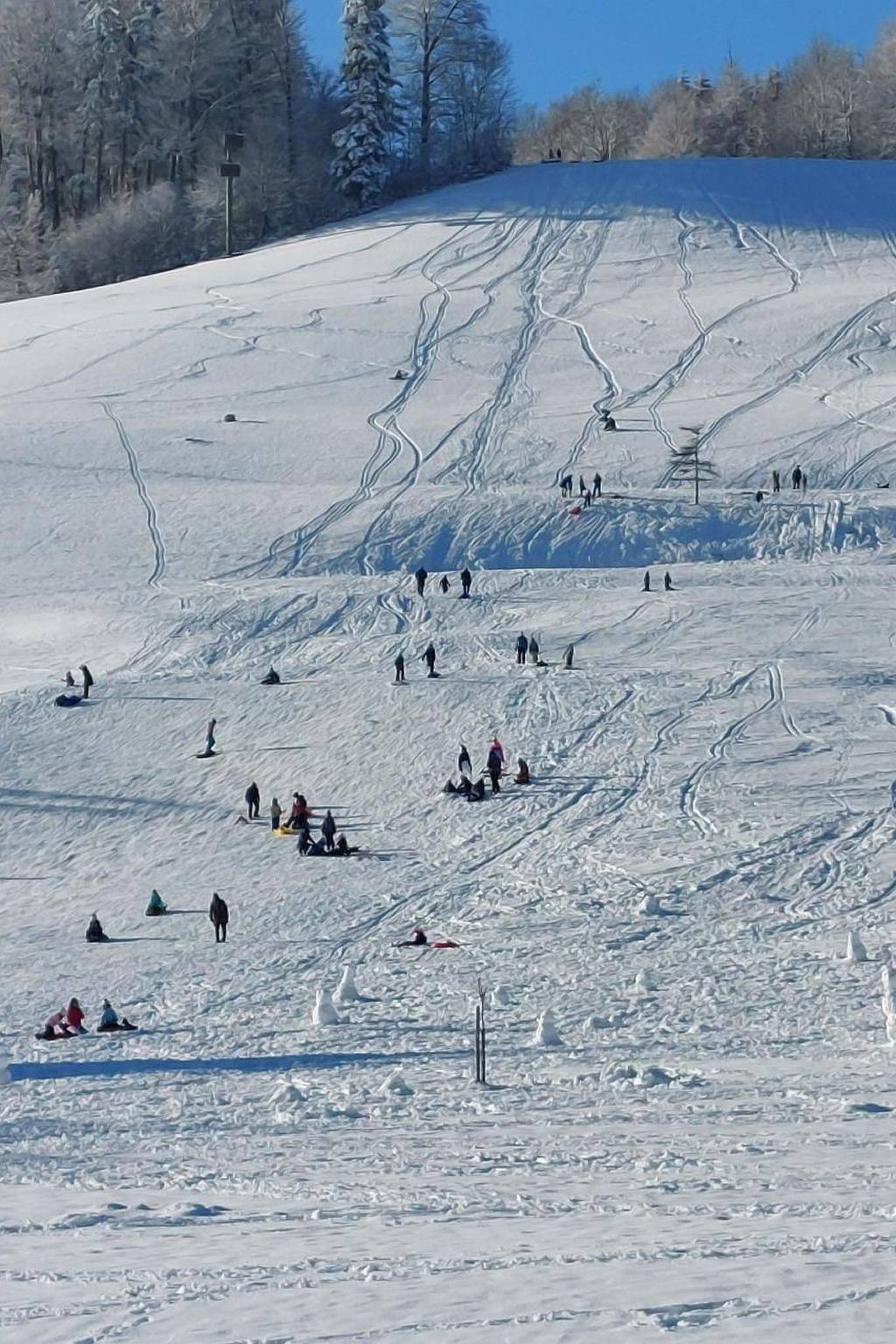 Historisches Riegel-Doppelbauernhaus in Zurych (kanton)