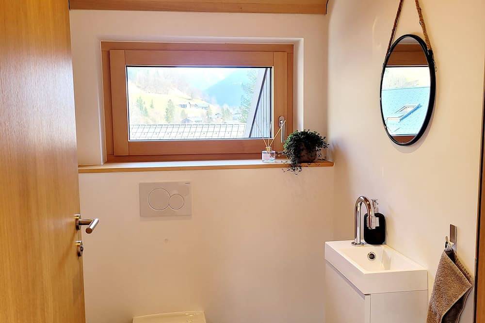 Geheel appartement, House Moosbrugger 2-5 persons in Mellau, Bregenzerwoud