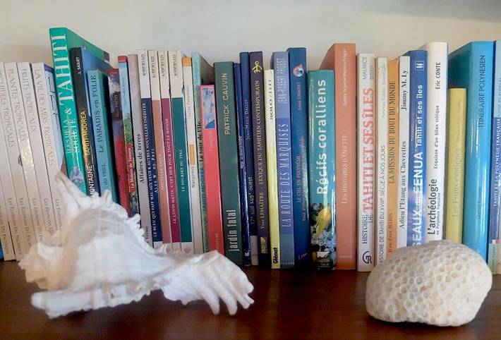 Location de vacances pour 4 personnes, avec jardin ainsi que piscine et vue dans Mahina - 4