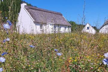Cottage for 8 People in County Clare, Photo 1