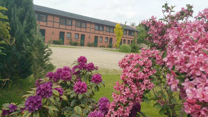 Ferienwohnung für 4 Personen, mit Terrasse und Garten sowie Ausblick in Ludorf - 2