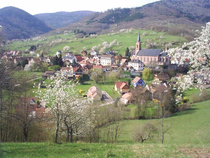 Location de vacances pour 6 personnes, avec jardin et vue, animaux acceptés à Breitenbach - 4